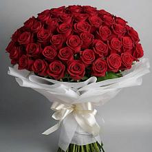 Букет 101 Красная роза Блэк Мэджик в Красном Логе
