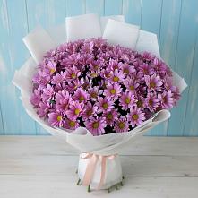 Букет цветов из:  Хризантемы в Красном Логе