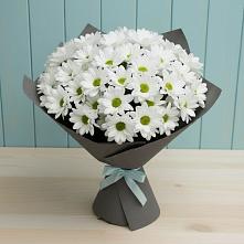 Букет цветов из:  Хризантемы #REPLACE_PRED# Красном Логе