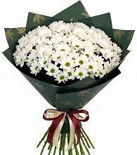 Букет цветов из:  Хризантемы в Красном Логе