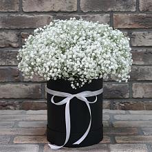 Цветочная композиция из Гипсофила в шляпной коробке в Красном Логе