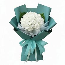 Букет цветов из:  Гортензия #REPLACE_PRED# Красном Логе